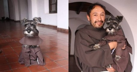 Bolivie : des moines adoptent un chien errant et en font la mascotte de leur monastère