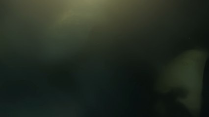 LoL: Tahm Kench is now the best champion in the game