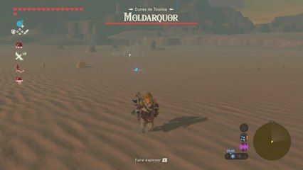Zelda Breath of the Wild : Sanctuaire To'Kayuu