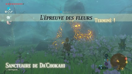 Soluce : L'épreuve des fleurs