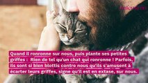 10 choses merveilleuses que seules les personnes qui ont un chat comprennent