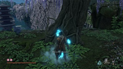 Guide Sekiro : Position Carpe au trésor, liste, écaille de carpe, astuce