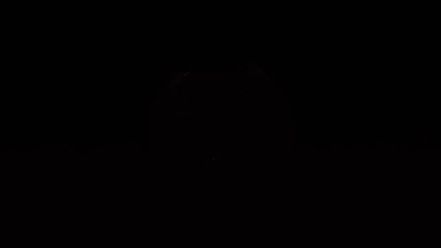 Pokémon GO: Lista con todos los códigos de recompensas gratuitas de agosto de 2021