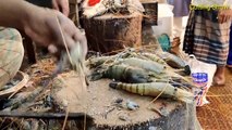 Amazing Big Prawns Cleaning In Bangladeshi Fish Market - Fish Cutting skills ( 720 X 1280 )