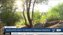 Advocates fight to protect Kern River Riparian Preserve
