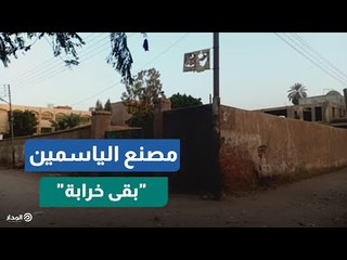 مصنع طحانوب.. ياسمين قتله الإهمال