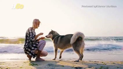 Pay Attention to Your Dogs and Some of the Things They Don’t Like That You Do