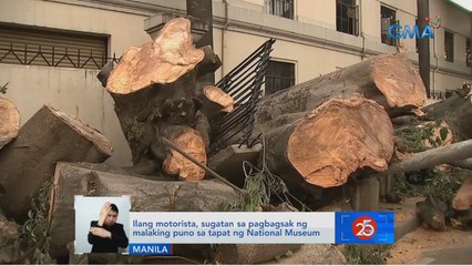 Ilang motorista, sugatan sa pagbagsak ng malaking puno sa tapat ng National Museum | Saksi