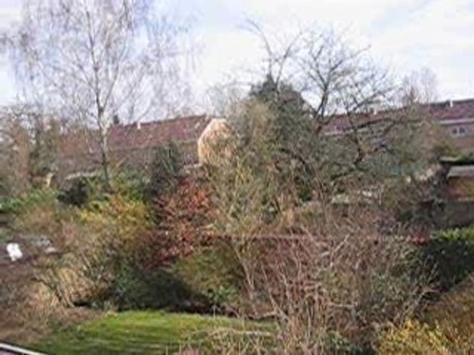 LeClipdeJu
