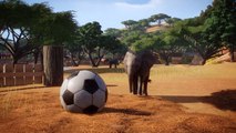 Test Planet Zoo sur PC