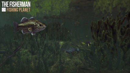 Test de The Fisherman - Fishing Planet sur PC, PS4 et Xbox One