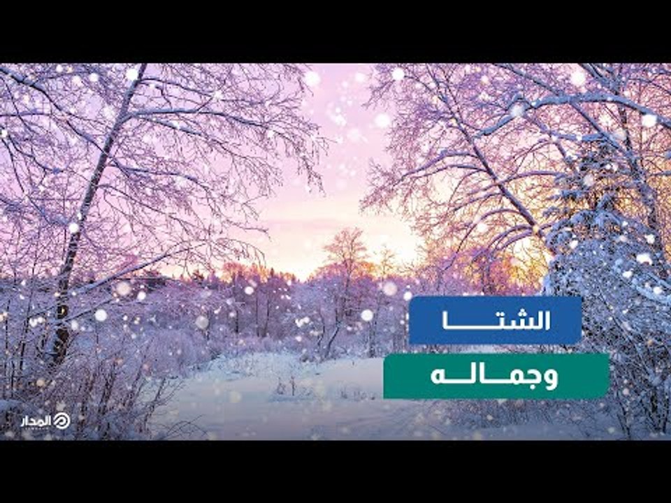 نداء إلى محبي الشتاء.. شوفوا الفيديو دة هيعجبكم
