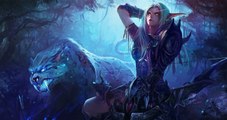 WoW : Présentation du Chasseur, Guide débutant, Classe World of Warcraft
