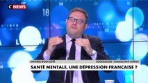 Mathieu Bock-Côté à propos de la santé mentale :«Il y a dans nos sociétés un véritable effondrement psychique»