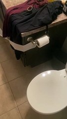 Toilet Paper Puppy Pulls Roll Across House