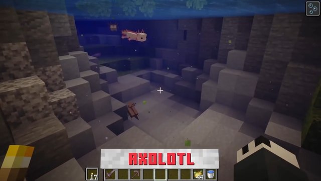 Minecraft : 1.17 mise à jour, Axolotl, nouvelle créature neutre, cave and cliff update
