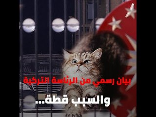 بيان رسمي من الرئاسة التركية والسبب قطة