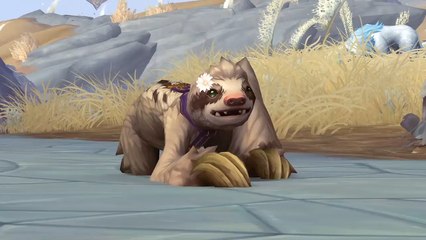 WoW : La mascotte caritative Daisy le Paresseux est disponible gratuitement