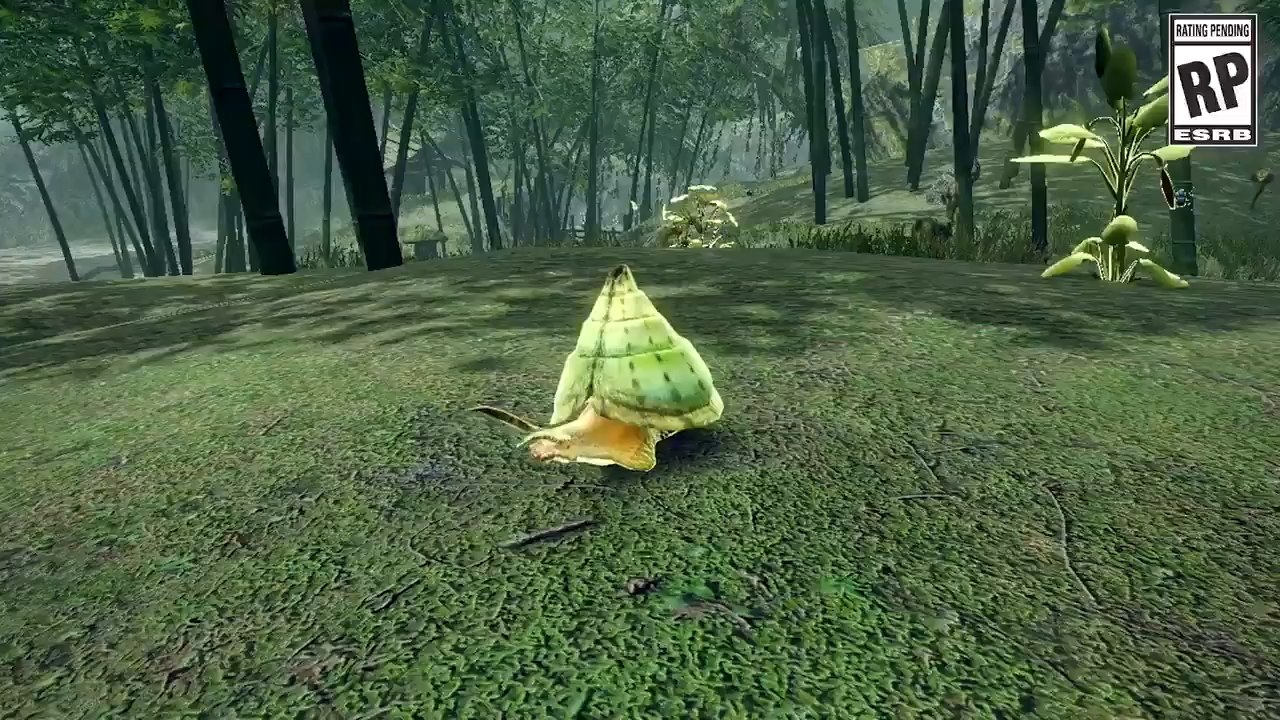 Monster Hunter Rise : Faune, insectes & animaux utiles