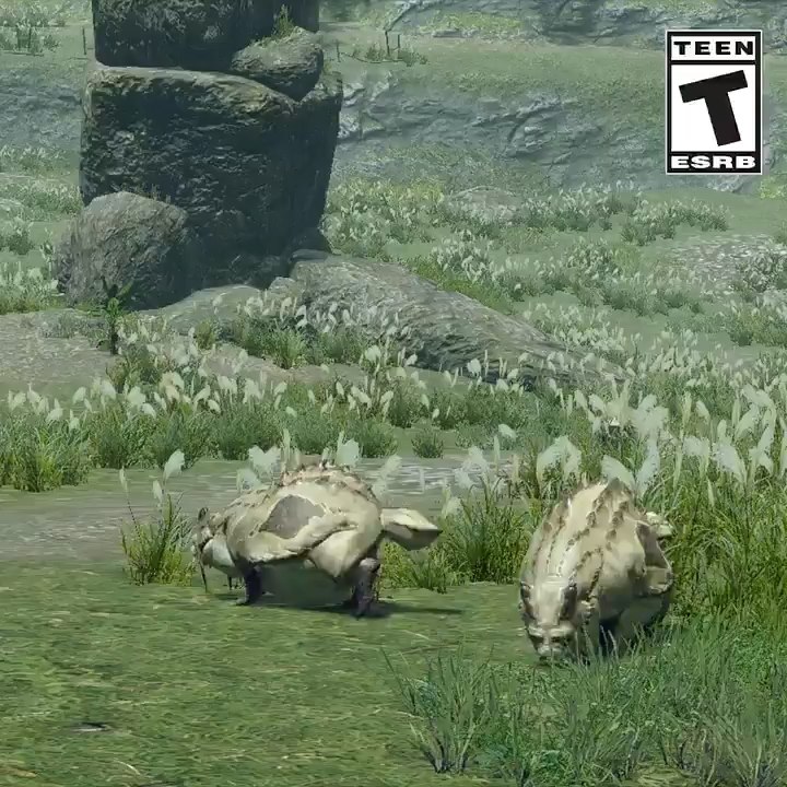 Monster Hunter Rise : Faune, insectes & animaux utiles