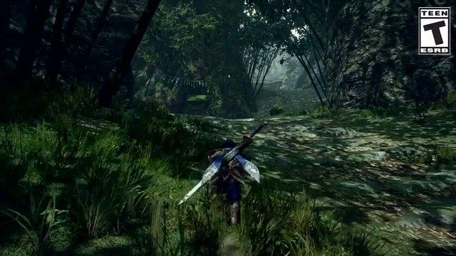 Monster Hunter Rise : Cartes, régions, zones