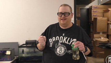 Tank's Taste Test Welch's Ginger Ale