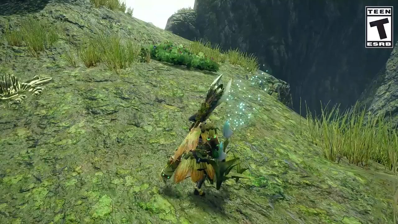 Monster Hunter Rise : Faune, insectes & animaux...