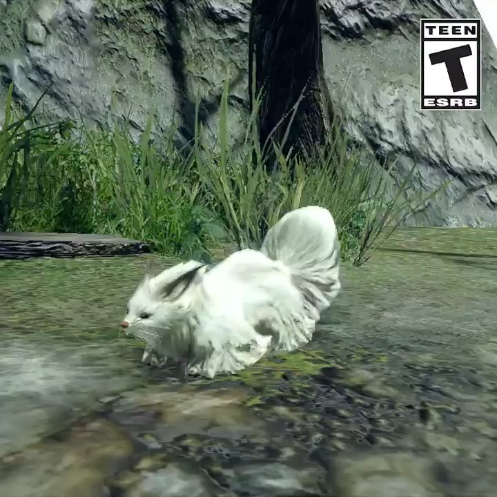 Monster Hunter Rise : Faune, insectes & animaux utiles