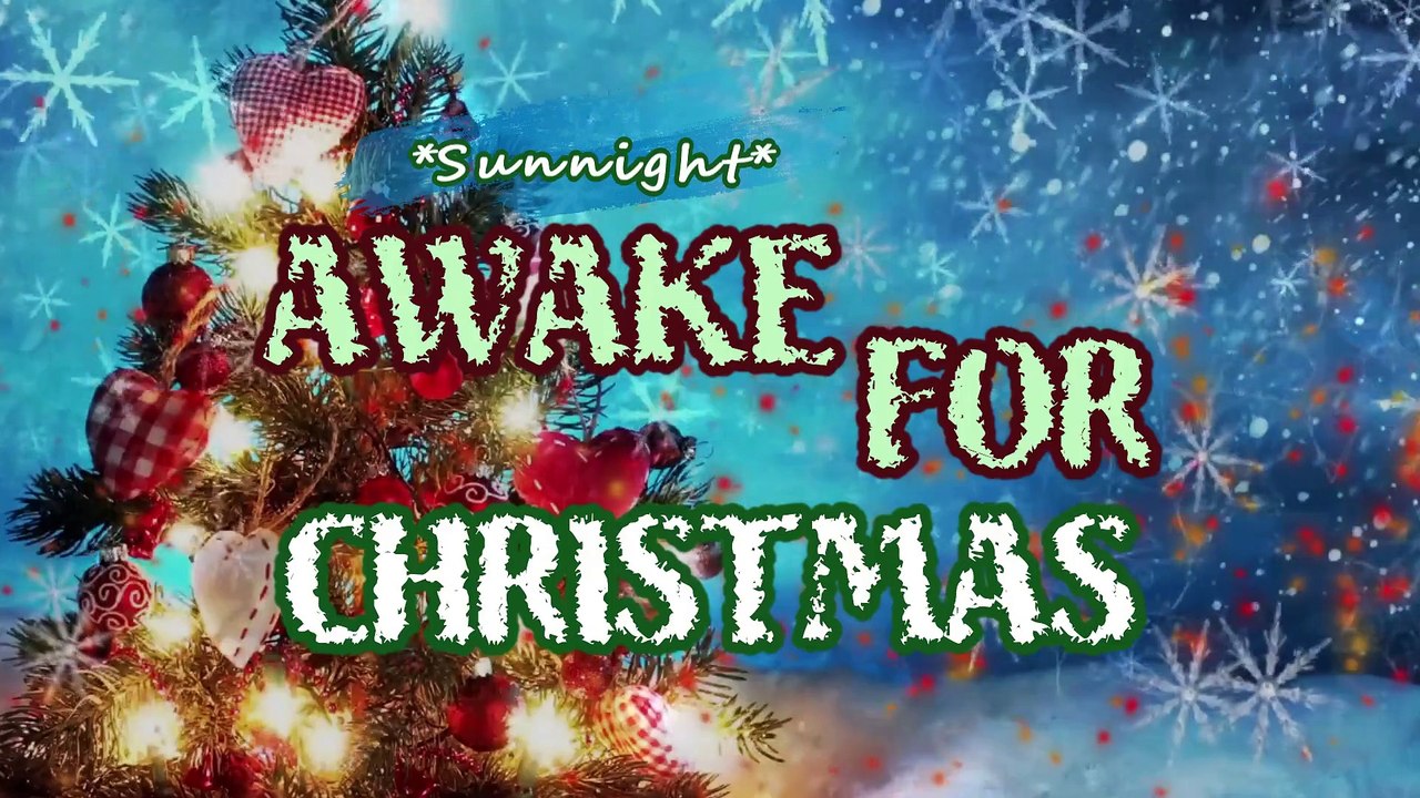 awake for christmas Sunnight