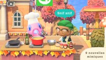 Toile radieuse Animal Crossing : comment reconnaître la contrefaçon ?