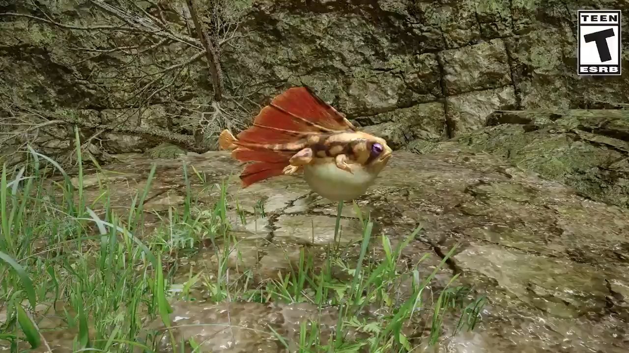 Monster Hunter Rise : Faune, insectes & animaux utiles