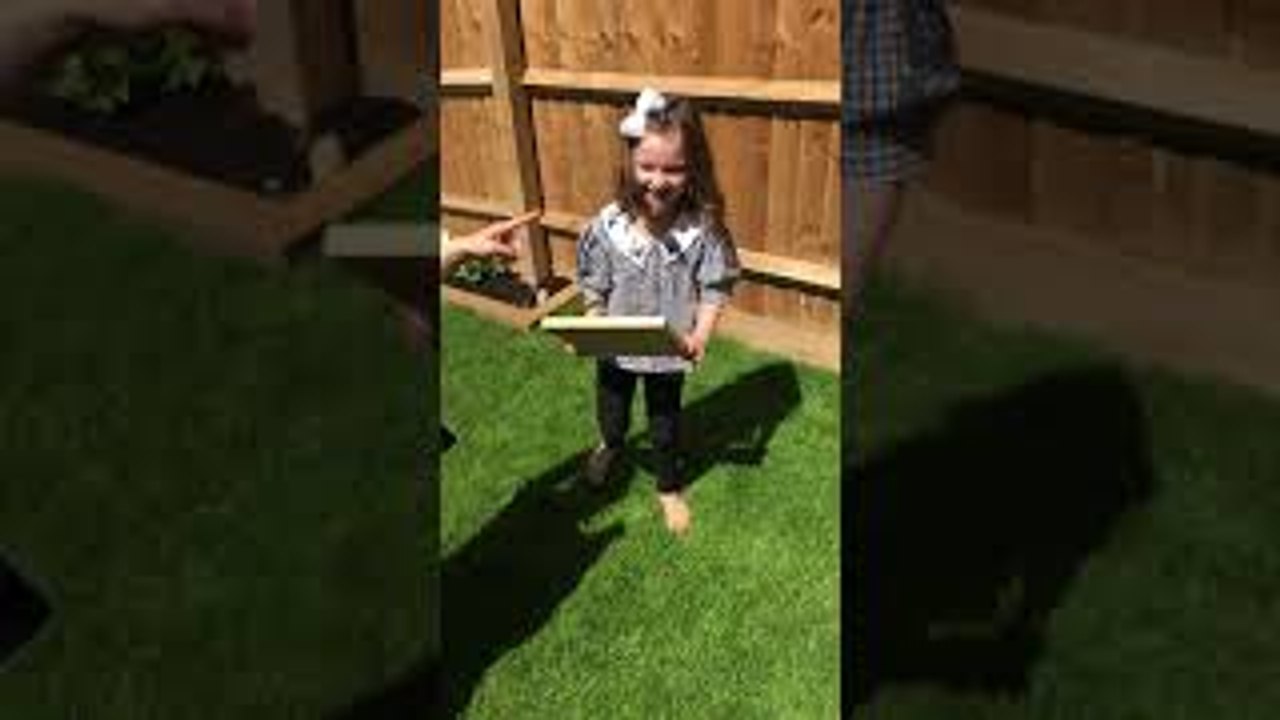 Honest Reaction to Gender Reveal