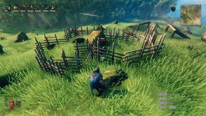 Taming Valheim, apprivoiser les sangliers : Appât et méthode, notre guide