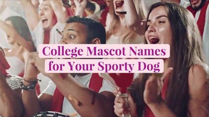 30 College Mascot Names for Your Sporty Dog