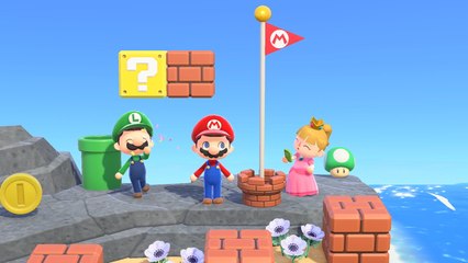 Terrine sur Animal Crossing New Horizons : tout savoir sur cet habitant