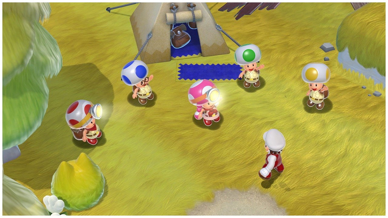 Soluce Mario 3D World Bowser Fury : Brigade Toad, Lac Saudechat