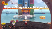 Soluce Mario 3D World Bowser Fury : Tour Tuyaux de Poil, astres félins