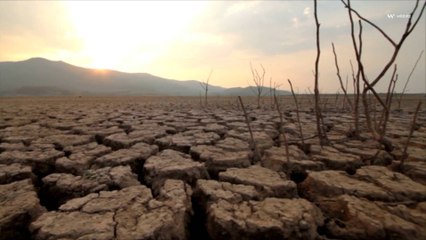 Children Born After 2020 Expected to Experience Up To 7 Times More Extreme Weather Events