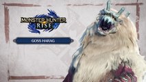 Monster Hunter Rise : Chasse au Goss Harag