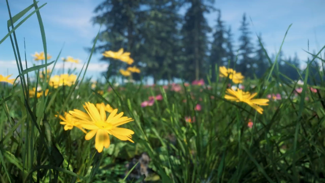 Star Citizen : Ventes spéciales de la St-Patrick