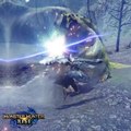 Tetranadon Monster Hunter Rise : Comment le battre, guide et astuces