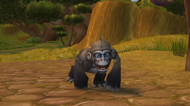 WoW Shadowlands : Mascottes caritatives Bananas le Singe et Marguerite le Paresseux