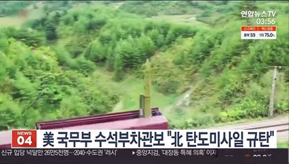 美 국무부 수석부차관보 "北 탄도미사일 규탄"