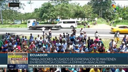 Download Video: Ecuador: Trabajadores acusan a empresa japonesa por maltrato y explotación laboral