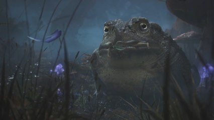 Xbox France annonce son Game Pass Fest du 7 au 8 juin 2021