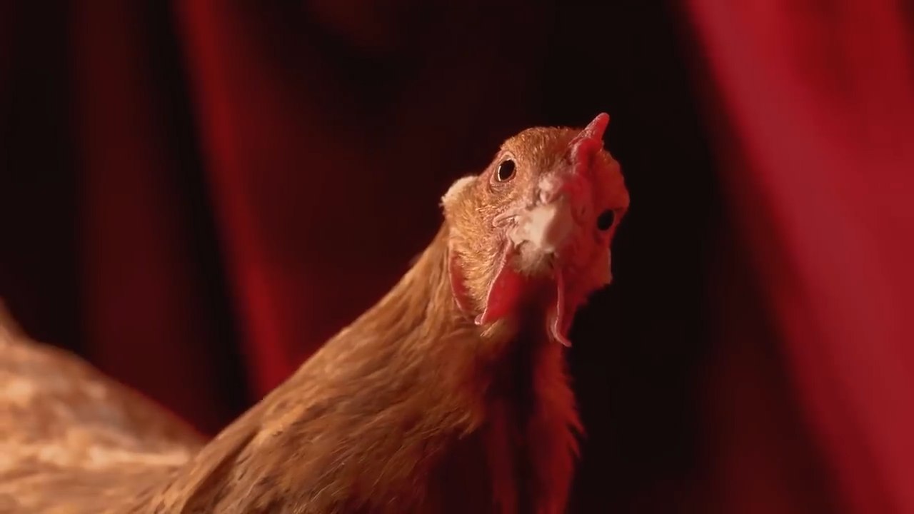 LoL : Schalke 04 aurait vendu son slot en LEC