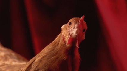 LoL : Schalke 04 aurait vendu son slot en LEC