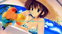 [Nightcore-Mix] - The Summer Has Begun (Lowcash Remix) ☆P.D.X☆