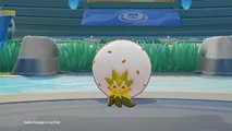 Blancoton (Eldegoss) Pokémon Unite : build, attaques, objets et comment le jouer
