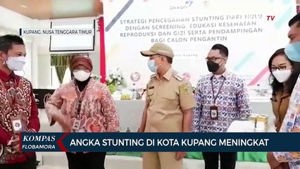 Angka Stunting di Kota Kupang Meningkat